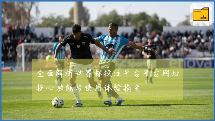 全面解析世界杯投注平台平台网址核心功能与使用体验指南