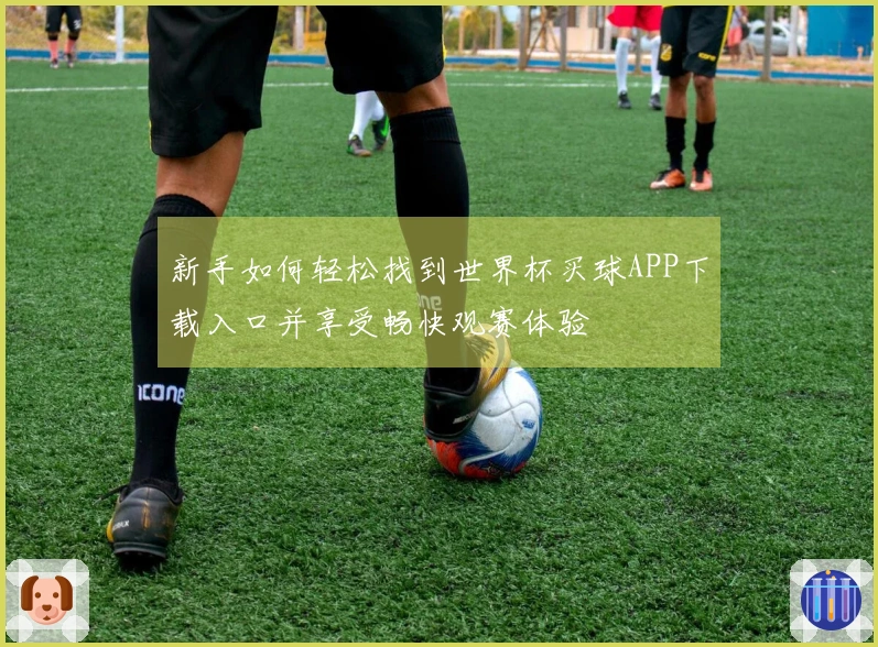 新手如何轻松找到世界杯买球APP下载入口并享受畅快观赛体验