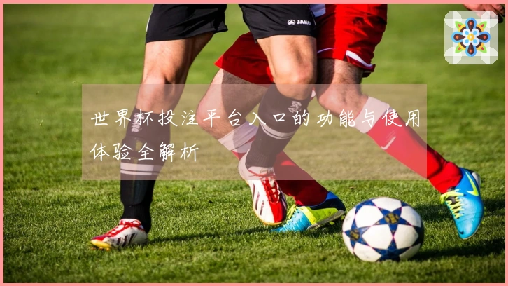 世界杯投注平台入口的功能与使用体验全解析