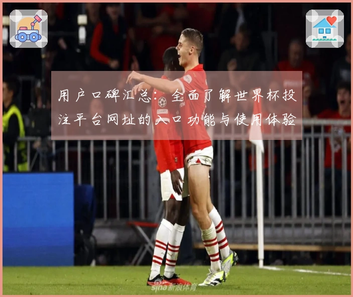 用户口碑汇总:全面了解世界杯投注平台网址的入口功能与使用体验