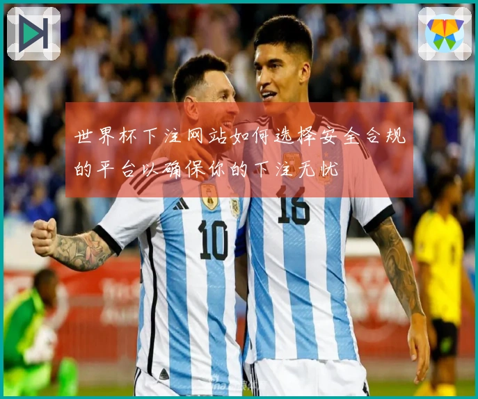 世界杯下注网站如何选择安全合规的平台以确保你的下注无忧