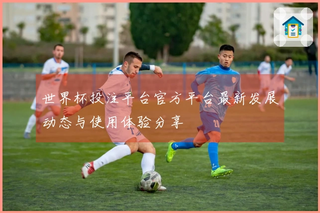 世界杯投注平台官方平台最新发展动态与使用体验分享