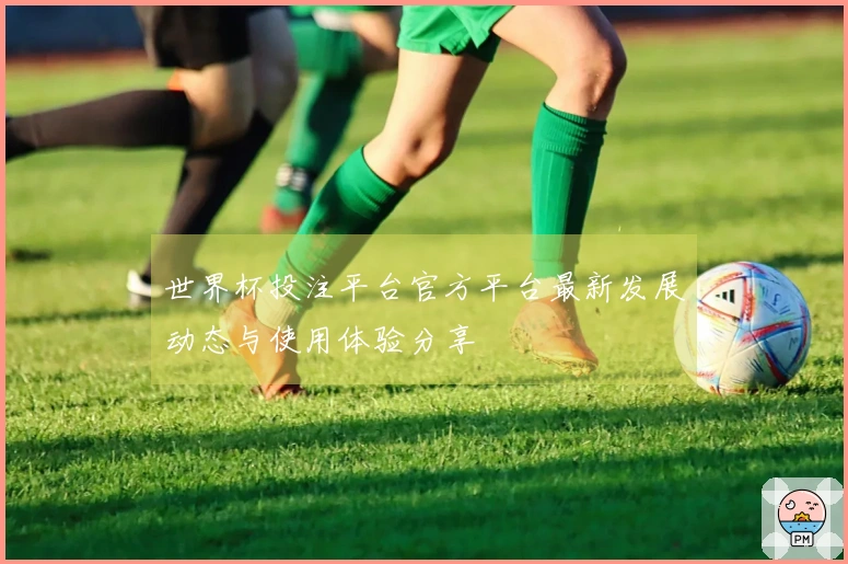 世界杯投注平台官方平台最新发展动态与使用体验分享