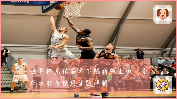 世界杯竞猜安卓下载新版上线：全新功能与使用体验详解