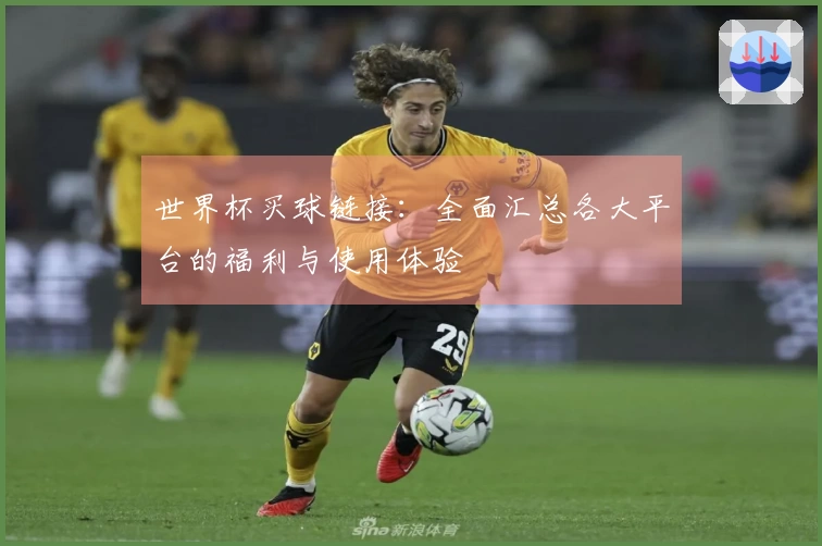 世界杯买球链接：全面汇总各大平台的福利与使用体验