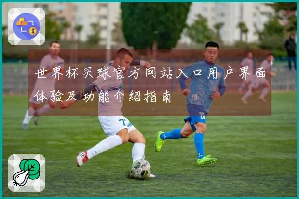 世界杯买球官方网站入口用户界面体验及功能介绍指南